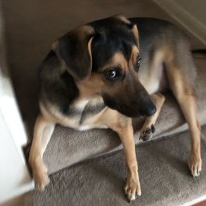 Meet your Posher, Shereen